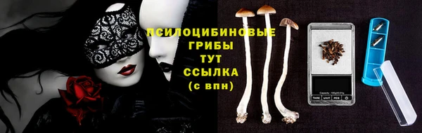 спайс Арсеньев