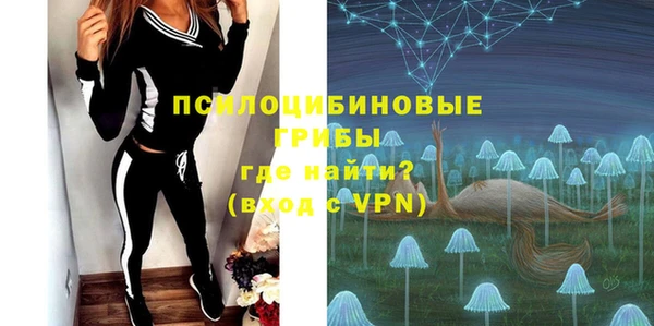 PSILOCYBIN Балабаново