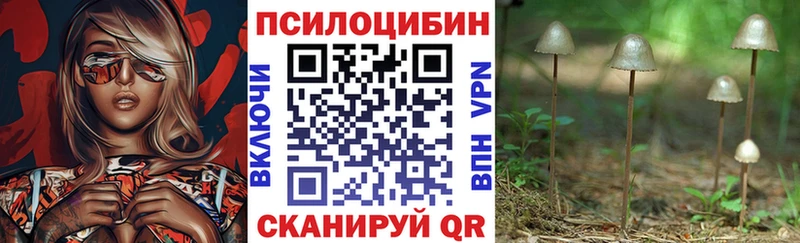 блэк спрут зеркало  Губаха  Галлюциногенные грибы GOLDEN TEACHER  наркотики 